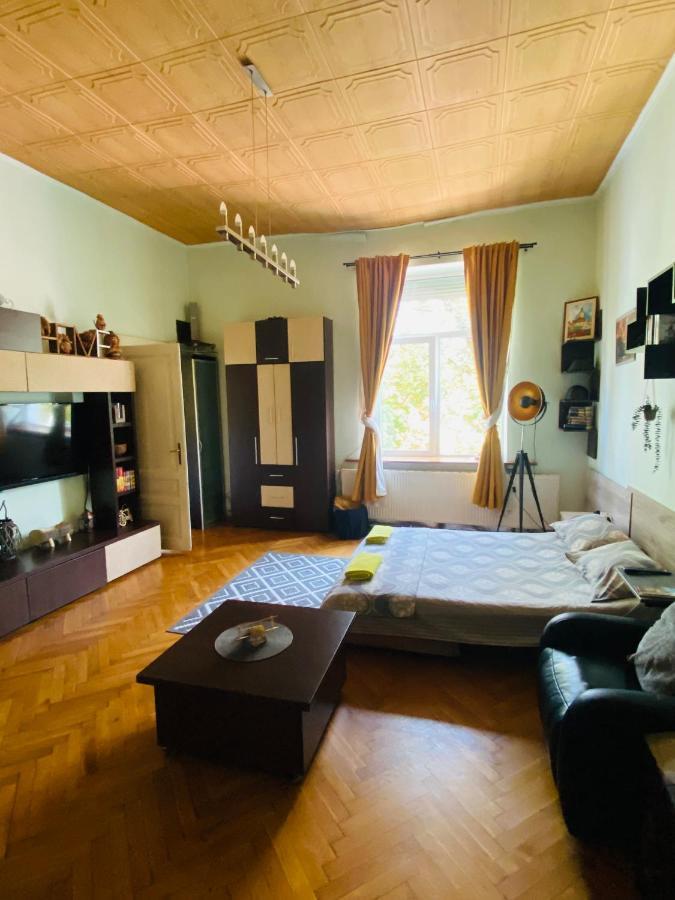 Central 2 Bedrooms Apartment ブラショフ エクステリア 写真